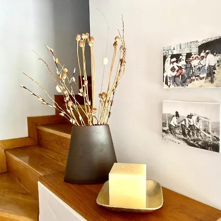 Eira Do Carvalhal Country House Σπίτι διακοπών